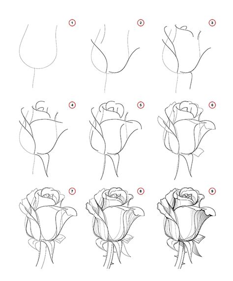 9 easy things to draw for beginners .